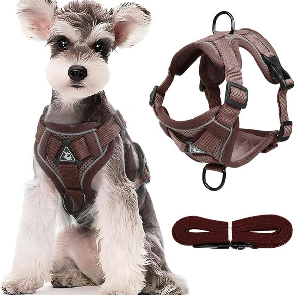 Easy Walk Dog Harness and Leash Set, Samll Dog Step in Vest Harness - Picture 1 of 10